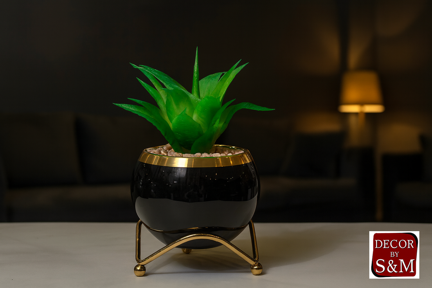 Succulent in black pot with golden legs on table in dark living space