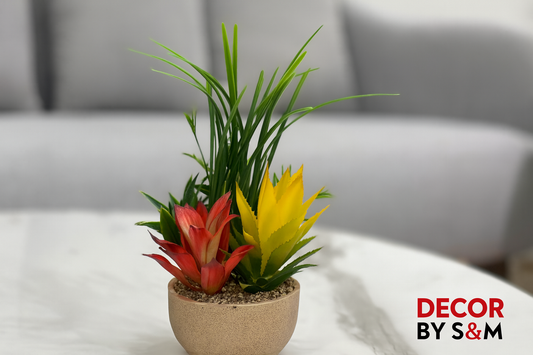 Colorful succulent arrangement on table in minimal interior