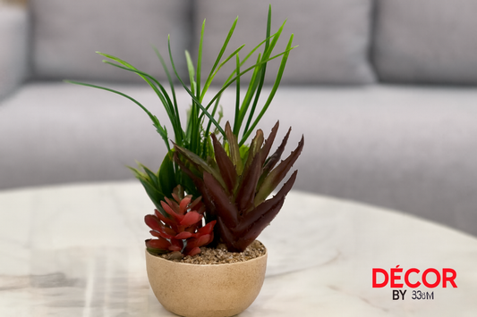 Green and burgundy succulent arrangement on table in minimal interior