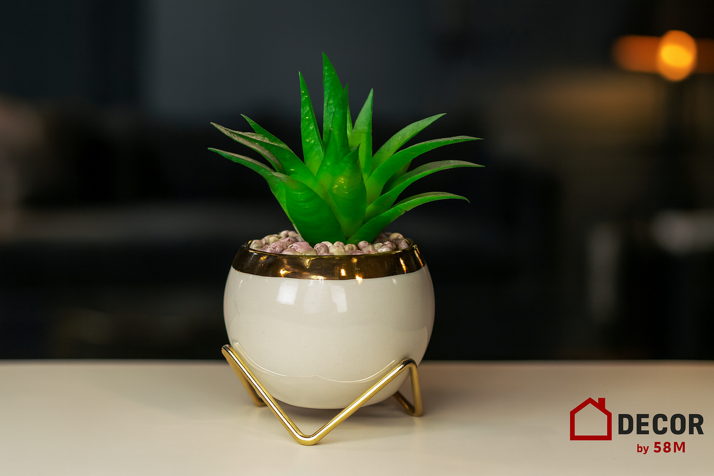Green succulent in white pot with golden stand on table in dark living space