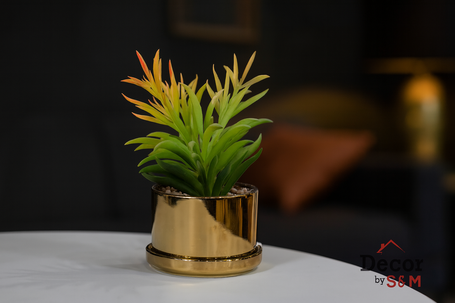 Yellow-orange succulent in golden pot on table in dark living space