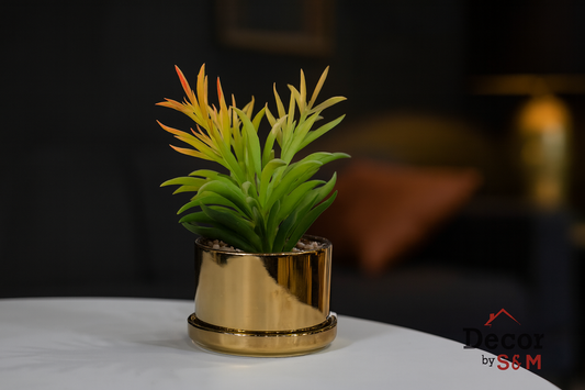 Yellow-orange succulent in golden pot on table in dark living space