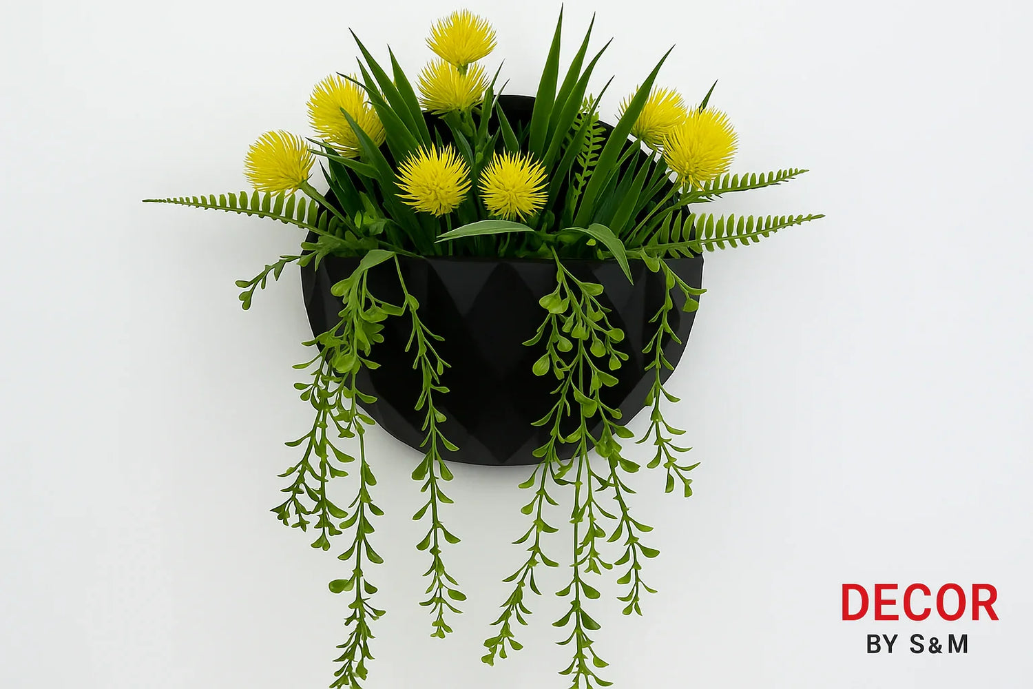 Yellow pom-pom flowers with trailing greenery in black planter on white background
